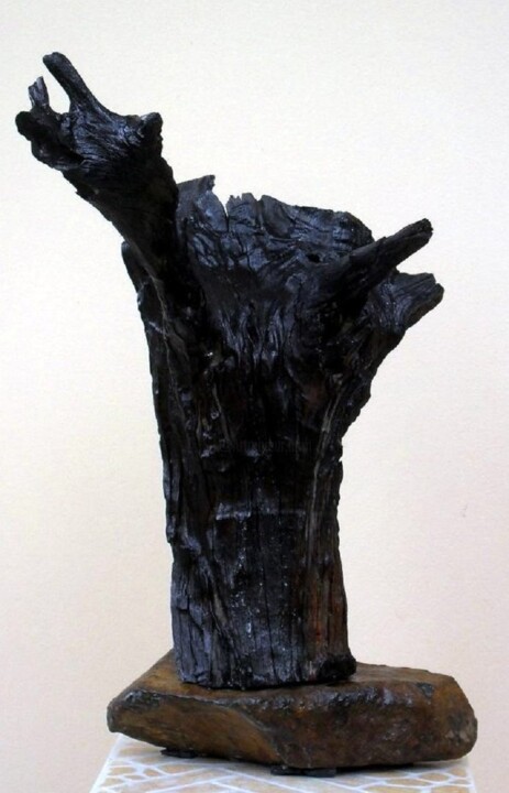 Rzeźba zatytułowany „Power” autorstwa Dan Civa, Oryginalna praca, Drewno