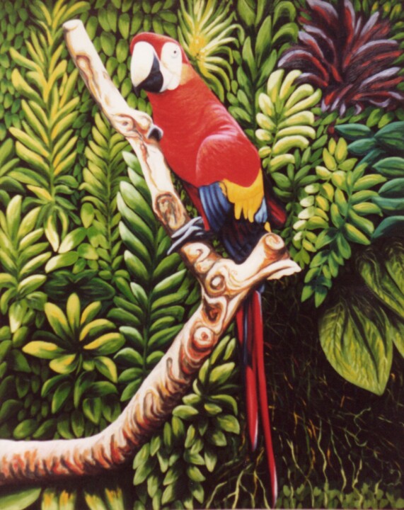 Painting titled "Big parrot, Sri Lan…" by Dan Civa, Original Artwork, Oil
