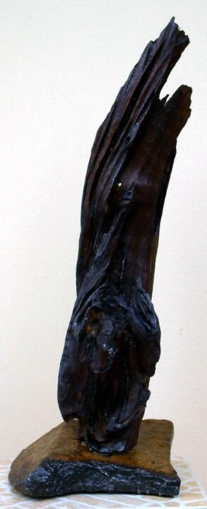 Rzeźba zatytułowany „Reservation” autorstwa Dan Civa, Oryginalna praca, Drewno