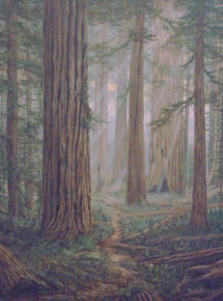 Painting titled "Redwoods" by Daniel Budde, Original Artwork, Oil