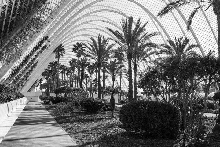 "Palms and Arches" başlıklı Fotoğraf Dancho Atanasov tarafından, Orijinal sanat, Dijital Fotoğrafçılık Alüminyum üzerine mon…