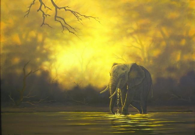 Painting titled "ELEPHANT BULL, CHOB…" by Dane Willers, Original Artwork, Oil