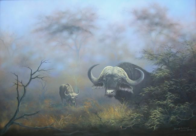 Pintura intitulada "AFRICAN BUFFALO" por Dane Willers, Obras de arte originais, Óleo