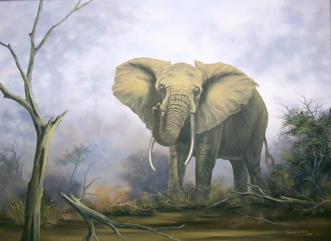 Painting titled "ELEPHANT BULL" by Dane Willers, Original Artwork, Oil