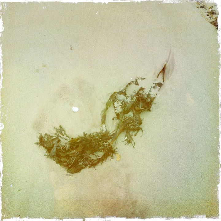 Photography titled "SEAWEED ON BEACH IN…" by Daniel Richtman, Original Artwork