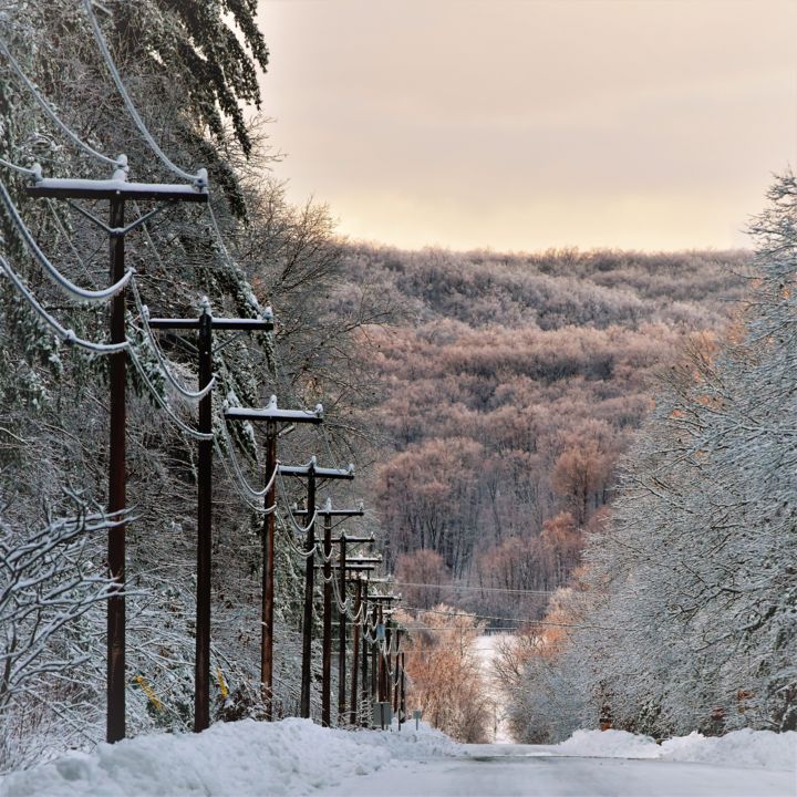 Photographie intitulée "route du parc" par Daniel Fabre, Œuvre d'art originale,