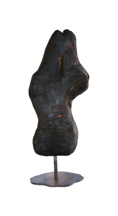 Sculpture intitulée "Sensiluette" par Daniel Grenzing, Œuvre d'art originale, Bois