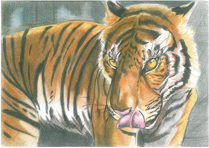 Dessin intitulée "#Tiger" par Daniel Marian, Œuvre d'art originale, Crayon