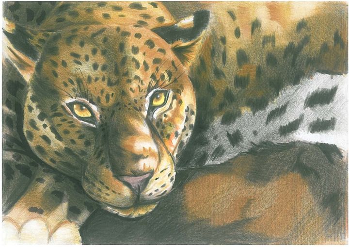 Dessin intitulée "#Leopard" par Daniel Marian, Œuvre d'art originale, Crayon