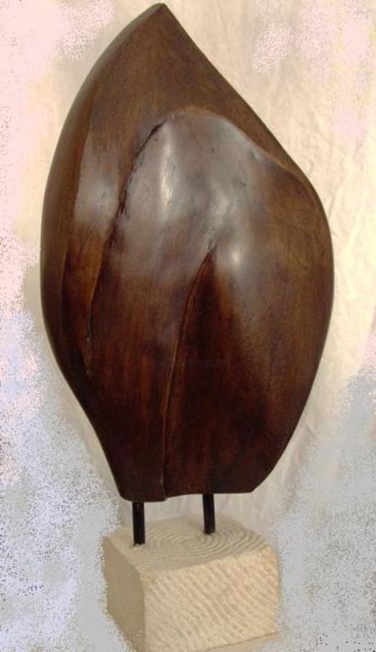 Sculpture titled "decouverte (recto)" by Daniel Rouviere, Original Artwork, Wood