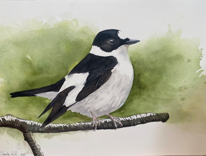 Malerei mit dem Titel "Flycatcher" von Daniela Rios, Original-Kunstwerk, Aquarell