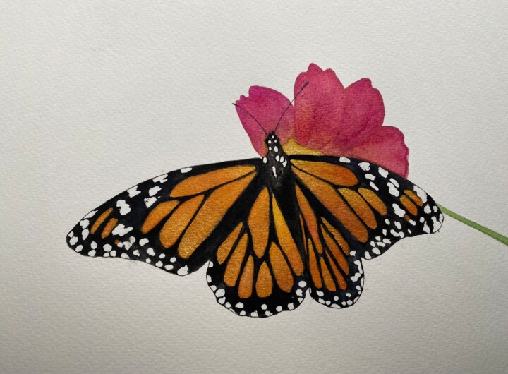 Painting titled "Butterfly" by Daniela Rios, Original Artwork, Watercolor