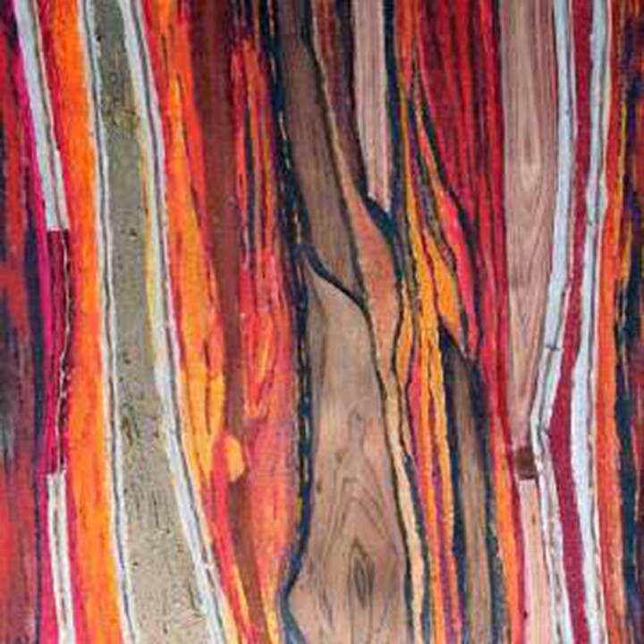 Картина под названием "vibrazioni in rosso" - Daniela Foschi, Подлинное произведение искусства, Акрил Установлен на Деревянн…