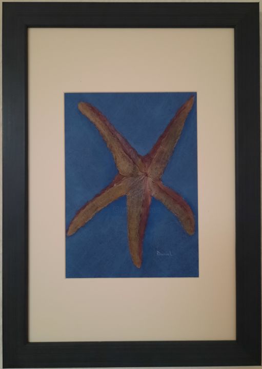 Drawing titled "Starfish, drawing c…" by Daniel Darie, Original Artwork, Pencil