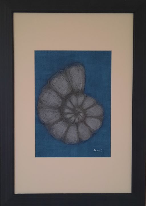 Zeichnungen mit dem Titel "Ammonite, drawing c…" von Daniel Darie, Original-Kunstwerk, Bleistift