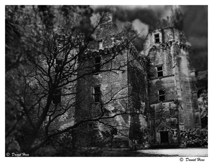 Fotografia zatytułowany „chateau-2890nb.jpg” autorstwa Daniel Hess, Oryginalna praca
