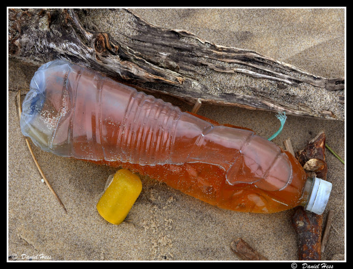 Fotografia intitulada "bouteille-15.jpg" por Daniel Hess, Obras de arte originais