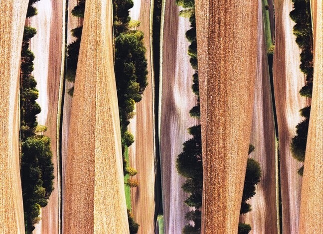 Photographie intitulée "drapés de velours" par Danielle Dubus, Œuvre d'art originale