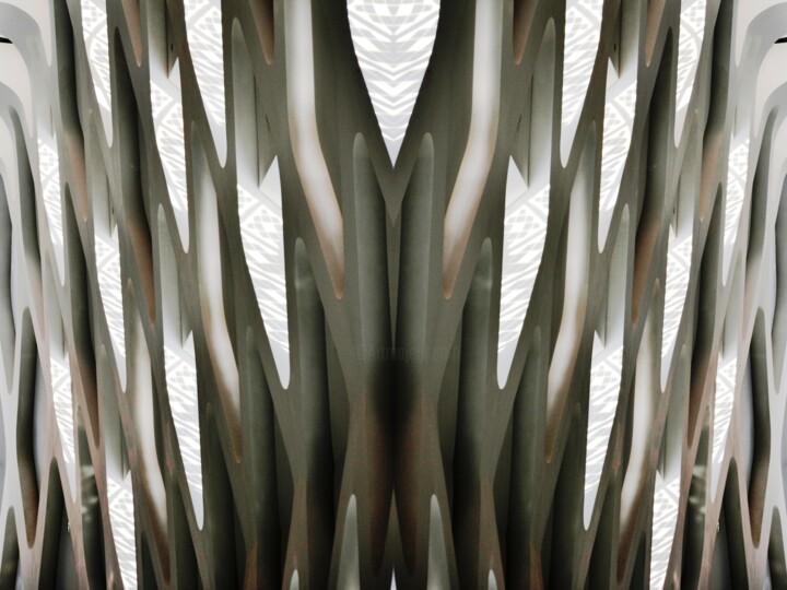 Фотография под названием "vertèbres" - Danielle Dubus, Подлинное произведение искусства