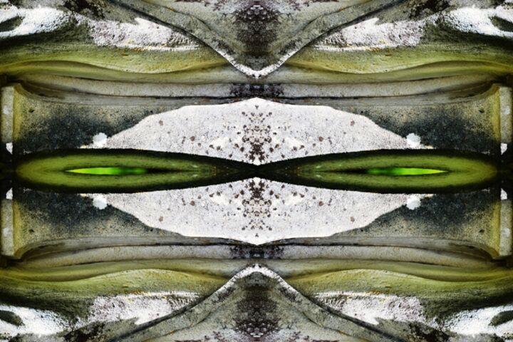 Photographie intitulée "incrustation de jade" par Danielle Dubus, Œuvre d'art originale