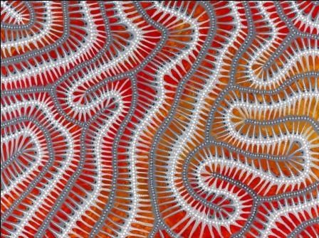 Painting titled "Coral" by Danielle Burford, Original Artwork, Acrylic