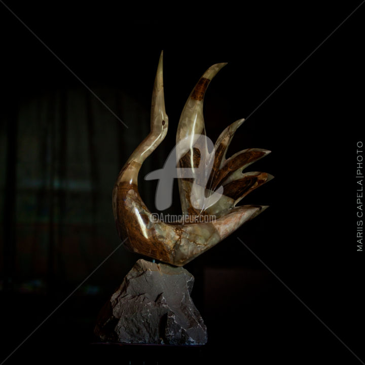 Escultura intitulada ""Cygnus"" por Daniel Leite Mendes, Obras de arte originais, Pedra