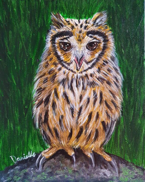 Schilderij getiteld "Owl 3" door Danielle Siauw, Origineel Kunstwerk, Acryl Gemonteerd op Houten paneel