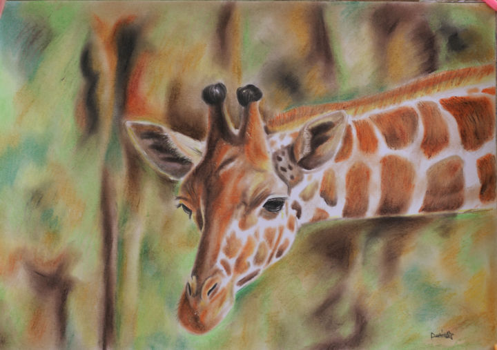 Disegno intitolato "Giraffe" da Danny Pencil Daniel Mensahboafo, Opera d'arte originale, Pastello