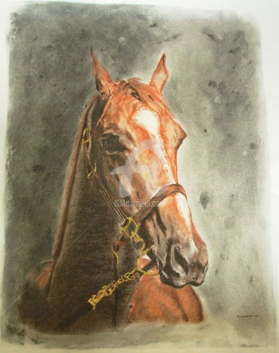 Drawing titled "Horse" by Danihua, Original Artwork, Chalk