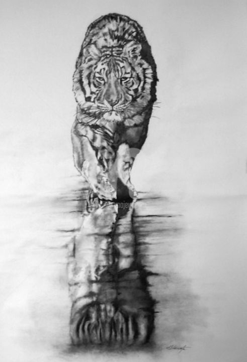 Drawing titled "Tigre" by Danihua, Original Artwork, Graphite