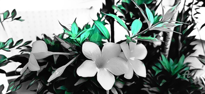 Arts numériques intitulée "Céramique florale" par Danila, Œuvre d'art originale, Peinture numérique