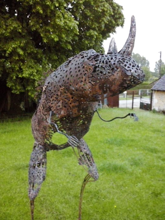 Sculpture titled "rhinofrog" by Didier Dantras, Original Artwork