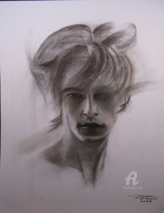 Drawing titled "Struggle" by Danut Lucian Tolnacs, Original Artwork, Charcoal