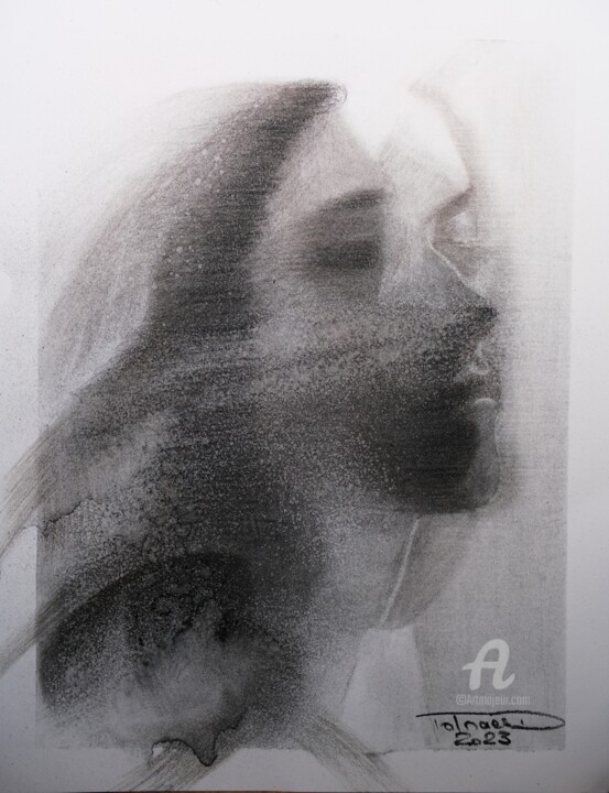 Drawing titled "Veiled" by Danut Lucian Tolnacs, Original Artwork, Charcoal