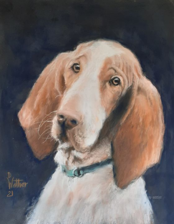 Drawing titled "Pataud" by Dany Wattier, Original Artwork, Pastel