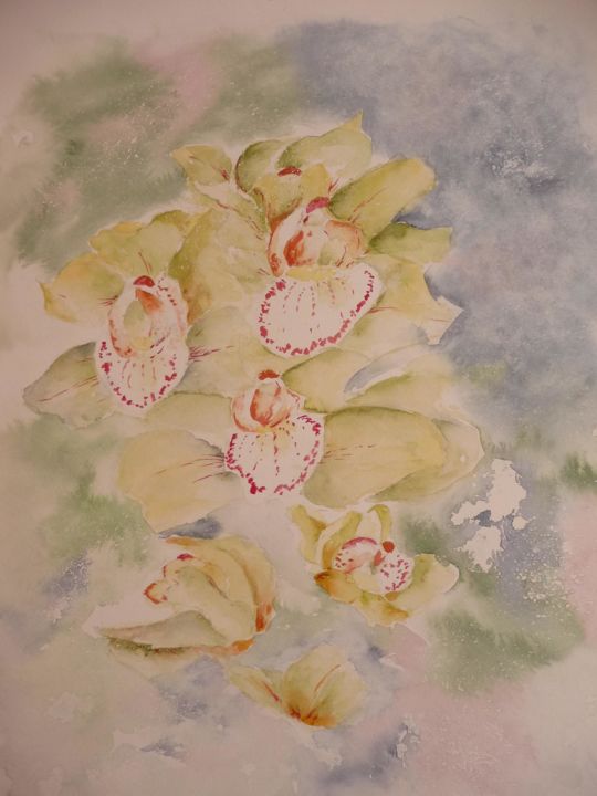 Painting titled "Orchidées" by Danyellepeintures, Original Artwork, Watercolor