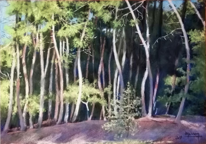 Peinture intitulée "pins des landes n°3" par Dany Masson, Œuvre d'art originale, Pastel Monté sur Carton