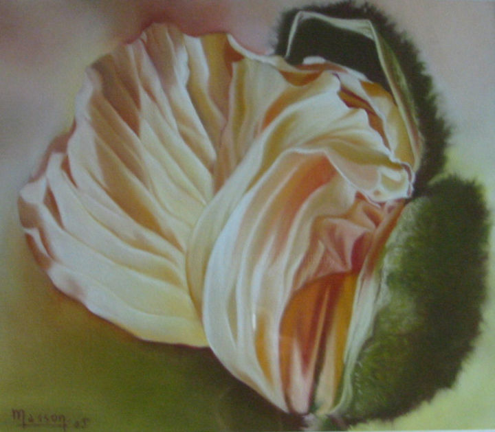 Painting titled "bouton-coquillage" by Dany Masson, Original Artwork, Pastel