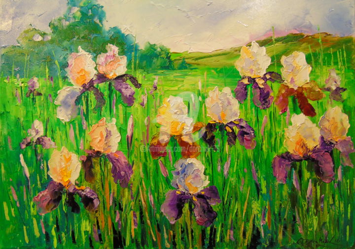 Картина под названием "Irises in a meadow" - Olha, Подлинное произведение искусства, Масло