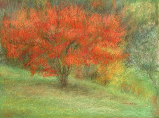 Drawing titled "Automne à l'Arboret…" by Jacqueline Dardel-Kormann, Original Artwork