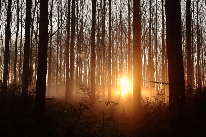 Photographie intitulée "Landscape (Work 9)" par Darelen, Œuvre d'art originale, Photographie numérique