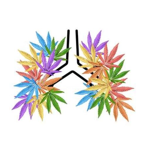 Painting titled "cannabis" by Darrin King, Original Art, Chalk