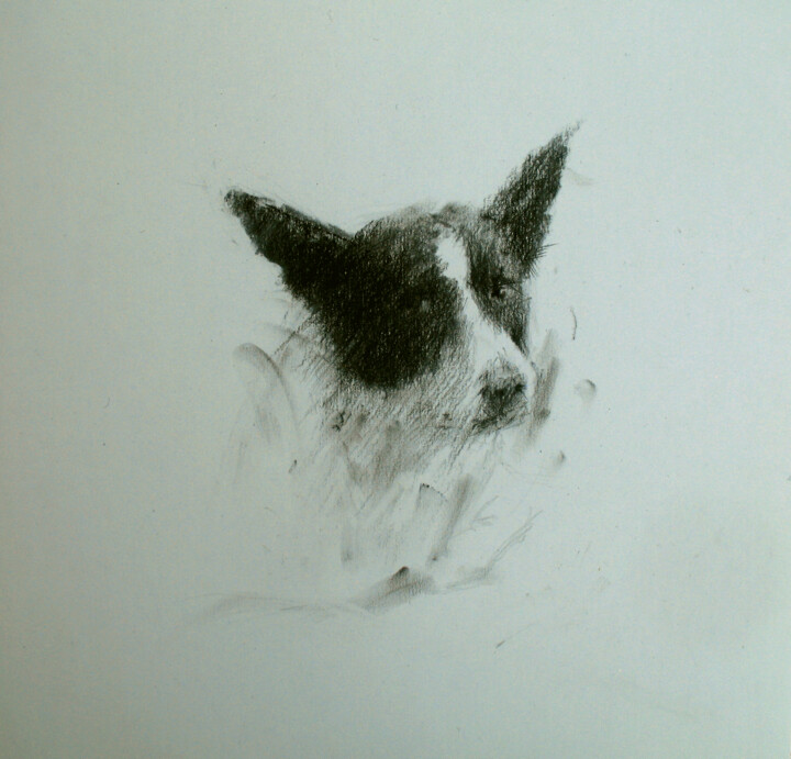 Рисунок под названием "Stray Dog" - David Beglaryan, Подлинное произведение искусства, Древесный уголь