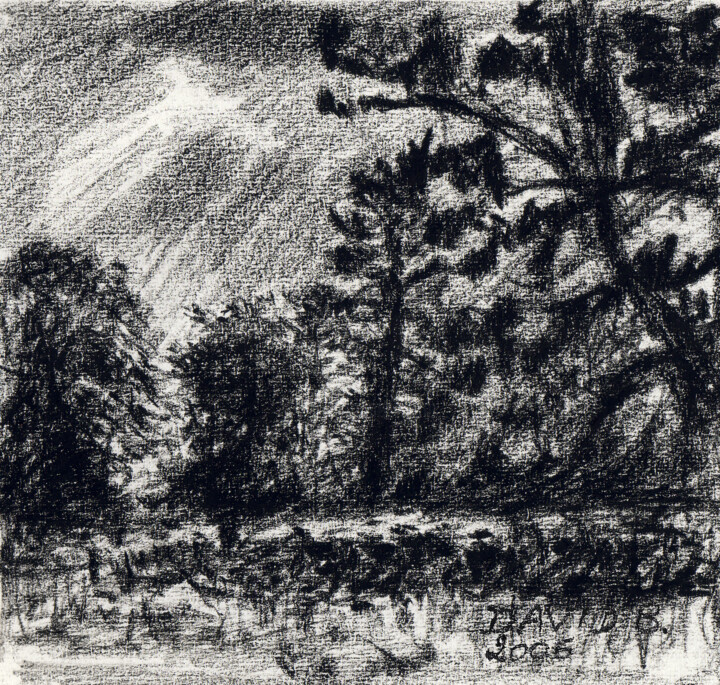 Dessin intitulée "Parc" par David Benayoun, Œuvre d'art originale, Crayon