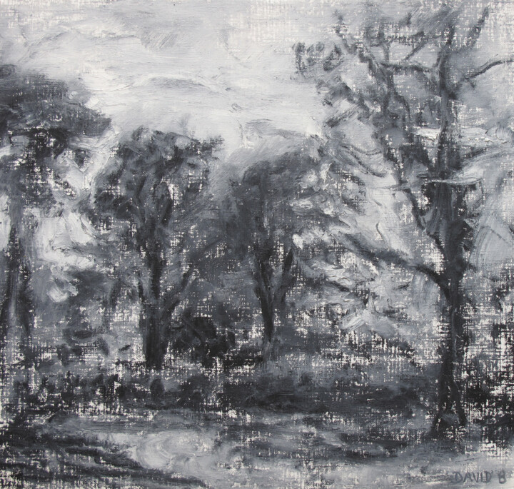 Dessin intitulée "Paysage (pastel gra…" par David Benayoun, Œuvre d'art originale, Pastel