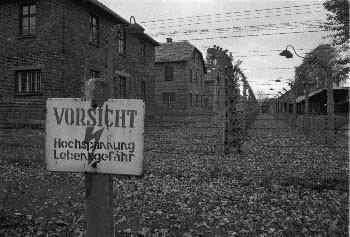 Fotografie getiteld "Auschwitz" door David Cirese, Origineel Kunstwerk