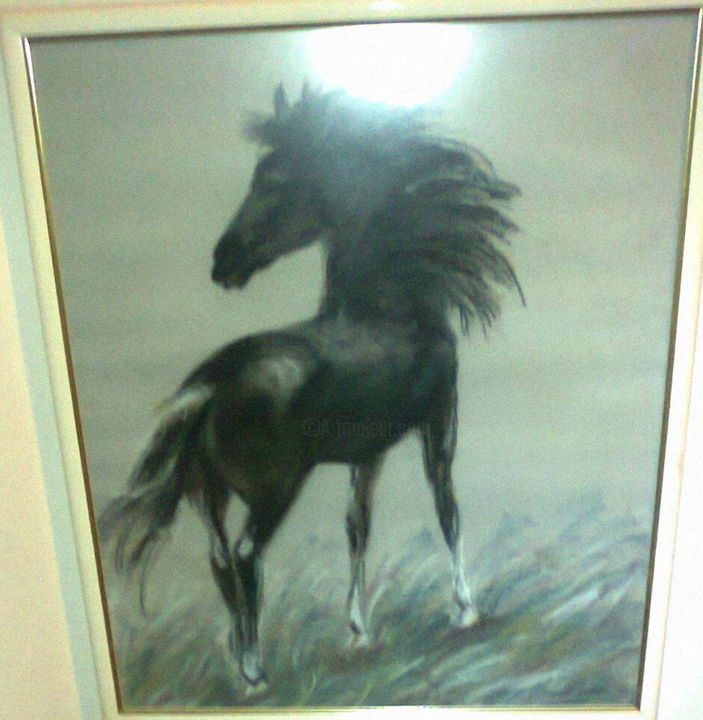 Pintura intitulada "Cavalo negro" por David Neto, Obras de arte originais, Pastel