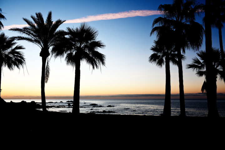 Fotografie getiteld "morning palms" door David Page, Origineel Kunstwerk, Digitale fotografie