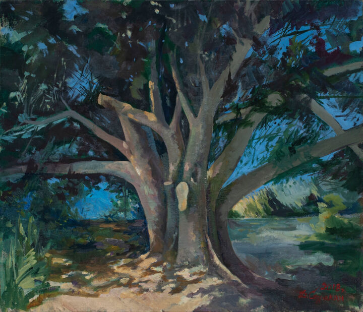 Peinture intitulée "Старое дерево" par David Sedrakyan, Œuvre d'art originale, Huile