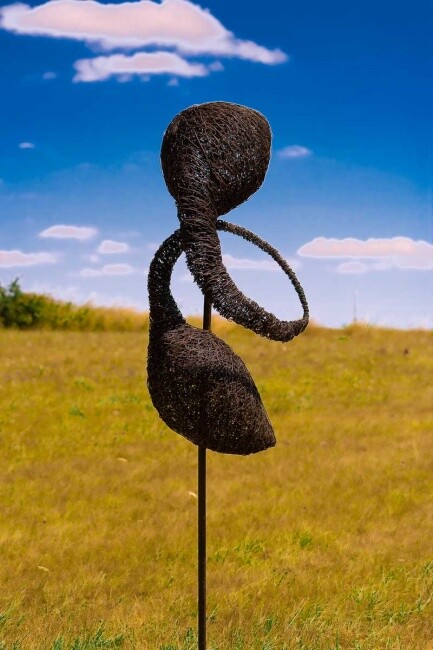 Sculpture titled "Elegance Iron wire…" by David Vanorbeek, Original Artwork, Metals